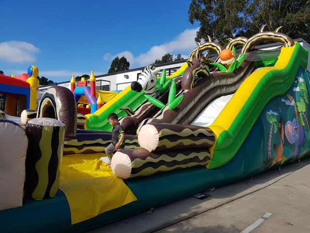 Jungle Double Lane Slide Jungle Double Lane Slide