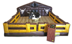Bucking bull, Bucking Willy & Bucking Footy