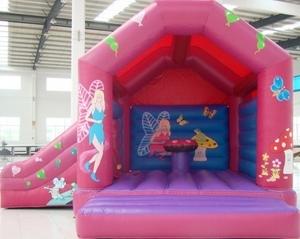 Fairy Slide Combo FOR AGES UP TO 12