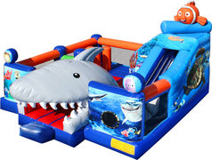 Nemo Obstacle challenge